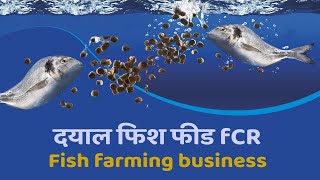 दयाल फिश फीड मछलिओं को खिलाने से किसान बंधुओं को कितना लाभ मिलता है  Fish Feed FCR [upl. by Elleryt]