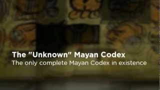 The quotUnknownquot Mayan Codex [upl. by Aitra656]