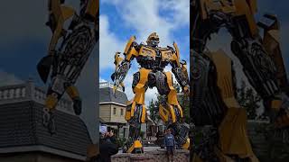 Bumblebee Mackinaw City [upl. by Gates]