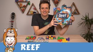 Reef Board Game Review  Actualol [upl. by Sidky]