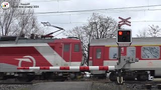 Železniční přejezd Srnojedy 271 2024 Czech railroad crossing [upl. by Bathesda]