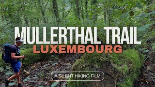 Solo Hike on the Mullerthal Trail Luxembourg  6 Days 120km  Silent Hiking [upl. by Fording137]