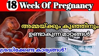 Pregnancy Week By Week Malayalam  18 Weeks Pregnant Malayalam [upl. by Reyotal]