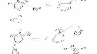 Favorskii Rearrangement Reaction mechanism chemistry tutorial [upl. by Ecyob888]