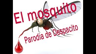 Abraham Sevilla  El mosquito PARODIA de Despacito [upl. by Teleya]