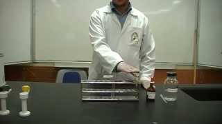 Nitroprussides test Part 2 Identification of Amino Acids Cysteine or Cystine [upl. by Little]