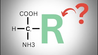 La classificazione degli amminoacidi in soli 10 minuti [upl. by Eelirol]