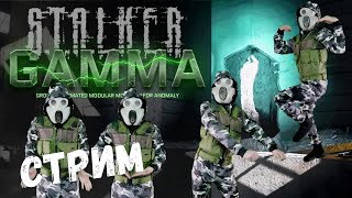 Играем в STALKER Anomaly GAMMA Гуляем по Северу Зоны [upl. by Ialohcin]