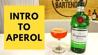 Intro to Aperol Cocktail Recipe by Audrey Saunders Pegu Club [upl. by Bernadina]