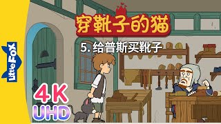 4K UHD 穿靴子的猫 5 Puss in Boots 5  中文字幕  Classics  Chinese Stories for Kids  Little Fox [upl. by Mccarty139]