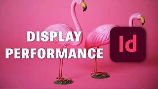 Display performance of an image  Indesign Professional Course [upl. by Athelstan]