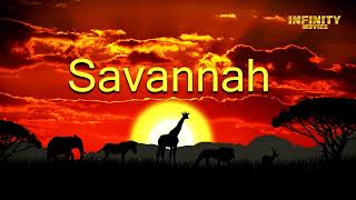 Savannah  Shelter For Animals  Endless Horizon Movie Clip 3 [upl. by Anoet200]