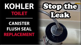 Kohler Toilet Leaking Canister Flush Valve Seal Replacement Instructions [upl. by Kerin]