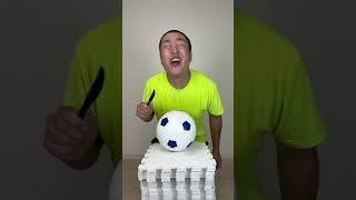 Sagawa1gou funny video 😂😂😂  SAGAWA Best Shorts 2023 shorts [upl. by Laufer]