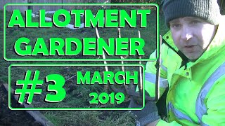 Allotment Garden 2019 3  Getting ready for spring time  An allotment diary [upl. by Yspyg848]