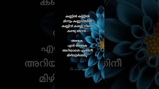 കണ്ണിൽ കണ്ണിൽ മിന്നും കണ്ണാടിയിൽ 🍃gourishankaramkavyamadhavanmalayalamlyrics [upl. by Shakti]