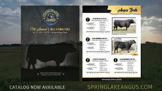 SpringLake Angus  April 5 2024 [upl. by Ivy]