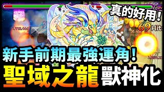 【怪物彈珠】訓練冒險「聖域之龍」獸神化！ 🎉新手一開始就能入手的強力運角！實測合作降臨關卡表現如何？｜歐因哥＆波因哥 寵物店 ｜ JOJO的奇妙冒險【モンスト】 [upl. by Fezoj528]