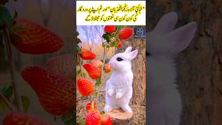 Surah ArRahman ❣️  Surah ArRahman Recitation shorts ytshorts surahrahman quran islam viral [upl. by Mattie555]