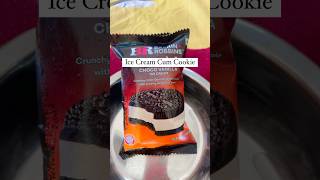 Baskin Robbins Ice Cream Sandwich Review Worth Rs90icecreamcakes baskinrobbins icecreamcookies [upl. by Hurlbut]