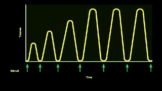 STAIRCASE PHENOMENON  CAUSES OF STAIRCASE PHENOMENON  TREPPE [upl. by Monagan157]