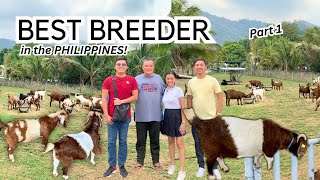 Farm Visit at ETMM Goat Farm ni Mayor Mar Ruel Sumabat  Vlog 31 [upl. by Caneghem]