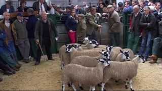 Hawes Auction Mart Monday 16th Sept 13 [upl. by Ralleigh819]