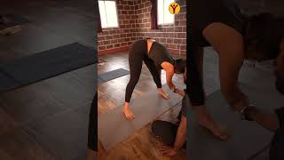 Mysore Yoga Advance Learning  Bharatha Yoga Shala [upl. by Sugihara]