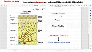 Anatomy amp Physiology 48  Integumentary System  Colour of Skin  हमारी स्किन का रंग काला क्यूँ [upl. by Seroled]