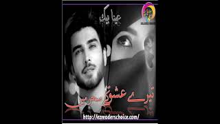 Tery Ishq Ke Seher Main By Ayna Baig Complete Cousin base  Complete Novel  Ayna Baig [upl. by Kassia652]