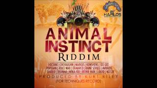 Animal Instinct Riddim Instrumental  Techniques Records  January 2013 [upl. by Magavern]