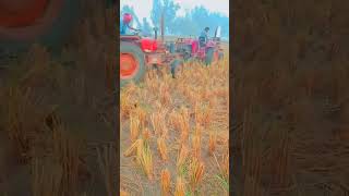 Pharming 🌾🌾 Mahindra ki Bolero 265 vsfreefirelovers [upl. by Chak]