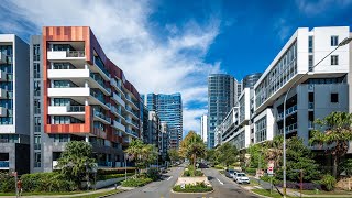 BILLBERGIA BENNELONG COVE [upl. by Nigle]