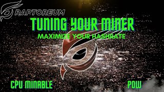 How to Tune Your Miner and Maximize Your Profits  RTM CPU Miner POW Cryptocurrency [upl. by Maxentia727]