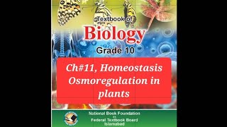 Biology 10th Ch11 Homeostasis Osmotic adjustmentOsmoregulation in plants [upl. by Oiramed]