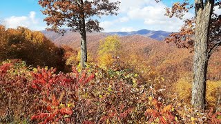 Tapoco amp Cherohala Oct 28 2024 [upl. by Tibbetts]