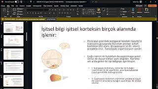 Duymanın Biyofiziği [upl. by Nivac]