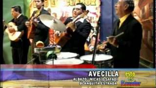 Cancion de los Andes Avecilla y Amarguras [upl. by Nehcterg]