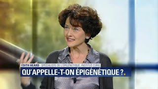 Chronique santé  l’épigénétique c’est quoi [upl. by Selrahc]