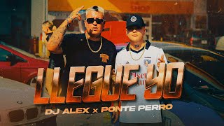 LLEGUE YO  PONTE PERRO DJ ALEX Video Oficial [upl. by Arrik]