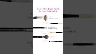 Beginner guide to Makeup brushes  Makeup brushes amp their uses [upl. by Notseh]