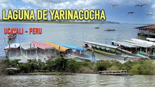 LAGUNA YARINACOCHA EN PUCALLPA REGION UCAYALI AMAZONIA DEL PERU [upl. by Rramo]