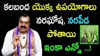 కలబంద యొక్క ఉపయోగాలు  Amazing Benefits Of Aloe Vera  Kalabanda Uses  Dr Machiraju Venugopal [upl. by Ardnot]