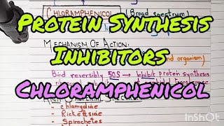 Chloramphenicol  Protein Synthesis Inhibitors  Anti Bacterial Agents  Pharmacology [upl. by Yerok]