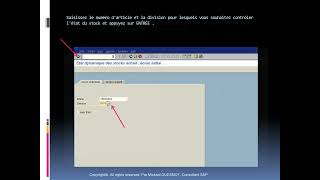 GU SAP R3 Affichage de létat dynamique des stocks [upl. by Airdnaxila286]