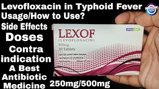 Levofloxacin 250500mg Tablets  UsesDosageSide Effects  Use in Typhoid Fever TonsillitisRTi [upl. by Haile]