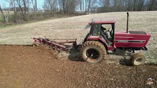 International Harvest 5088 Tractor Plowing  New Garden Ohio [upl. by Rector]