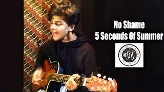 5 Seconds Of Summer  No Shame  Acoustic cover by Ariyan [upl. by Idieh]