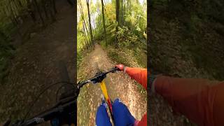 Some Speed and Flow mtb bike gopro [upl. by Esirahs]