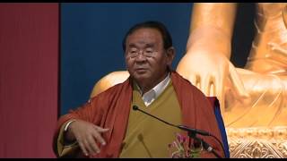 Sogyal Rinpoche  The most marvellous quality of mind [upl. by Donny207]